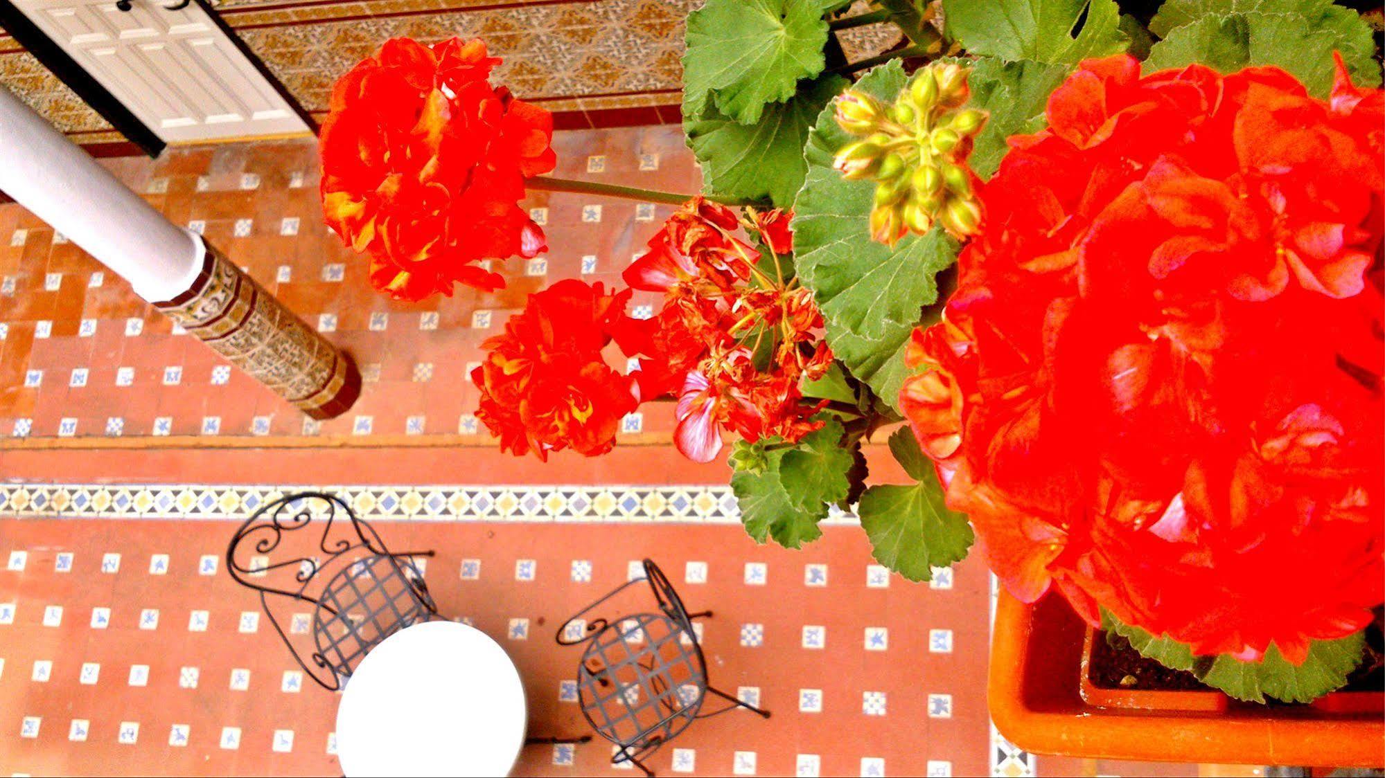 Hotel Al Andalus Jerez Jerez de la Frontera Zewnętrze zdjęcie